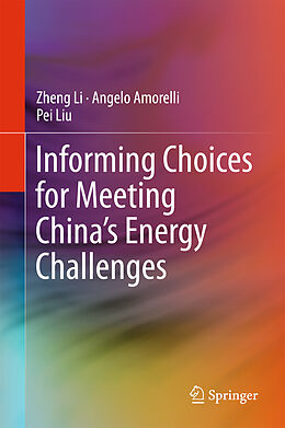 Fester Einband Informing Choices for Meeting China s Energy Challenges von Zheng Li, Pei Liu, Angelo Amorelli