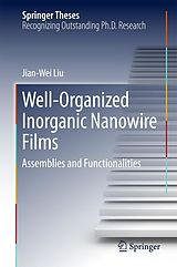 E-Book (pdf) Well-Organized Inorganic Nanowire Films von Jian-Wei Liu