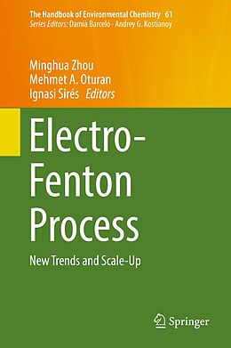 eBook (pdf) Electro-Fenton Process de 