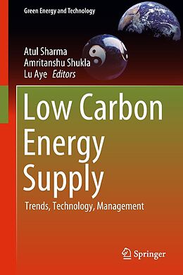 eBook (pdf) Low Carbon Energy Supply de 