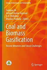 eBook (pdf) Coal and Biomass Gasification de 