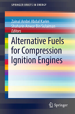 Kartonierter Einband Alternative Fuels for Compression Ignition Engines von Zainal Ambri Abdul Karim