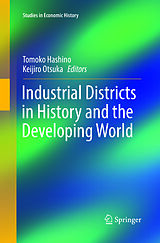 Couverture cartonnée Industrial Districts in History and the Developing World de 