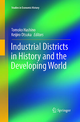 Couverture cartonnée Industrial Districts in History and the Developing World de 