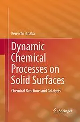 Kartonierter Einband (Kt) Dynamic Chemical Processes on Solid Surfaces von Ken-ichi Tanaka