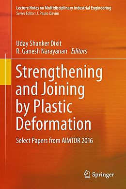 E-Book (pdf) Strengthening and Joining by Plastic Deformation von 