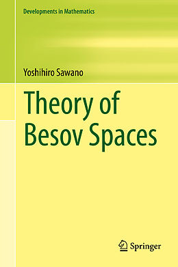 Fester Einband Theory of Besov Spaces von Yoshihiro Sawano