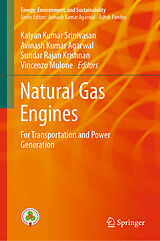 eBook (pdf) Natural Gas Engines de 