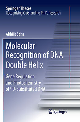 Kartonierter Einband Molecular Recognition of DNA Double Helix von Abhijit Saha