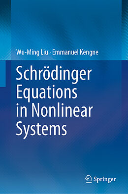 Kartonierter Einband Schrödinger Equations in Nonlinear Systems von Emmanuel Kengne, Wu-Ming Liu