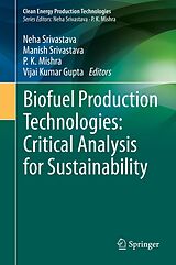 eBook (pdf) Biofuel Production Technologies: Critical Analysis for Sustainability de 