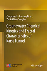 eBook (pdf) Groundwater Chemical Kinetics and Fractal Characteristics of Karst Tunnel de Cangsong Li, Jianfang Ding, Yankai Liao