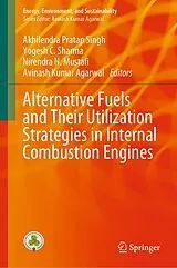 Fester Einband Alternative Fuels and Their Utilization Strategies in Internal Combustion Engines von 