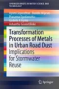 E-Book (pdf) Transformation Processes of Metals in Urban Road Dust von Ayomi Jayarathne, Buddhi Wijesiri, Prasanna Egodawatta