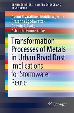 eBook (pdf) Transformation Processes of Metals in Urban Road Dust de Ayomi Jayarathne, Buddhi Wijesiri, Prasanna Egodawatta