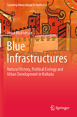 Kartonierter Einband Blue Infrastructures von Jenia Mukherjee