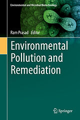 E-Book (pdf) Environmental Pollution and Remediation von 