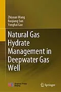 E-Book (pdf) Natural Gas Hydrate Management in Deepwater Gas Well von Zhiyuan Wang, Baojiang Sun, Yonghai Gao