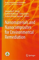 eBook (pdf) Nanomaterials and Nanocomposites for Environmental Remediation de 