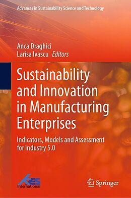 eBook (pdf) Sustainability and Innovation in Manufacturing Enterprises de 