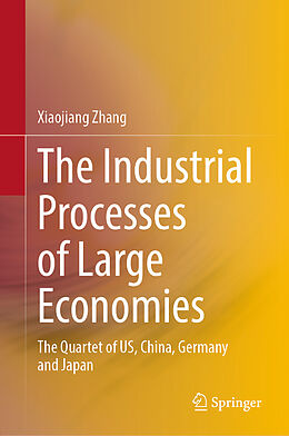Fester Einband The Industrial Processes of Large Economies von Xiaojiang Zhang