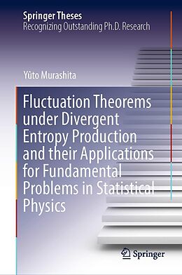 eBook (pdf) Fluctuation Theorems under Divergent Entropy Production and their Applications for Fundamental Problems in Statistical Physics de Yûto Murashita