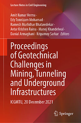 E-Book (pdf) Proceedings of Geotechnical Challenges in Mining, Tunneling and Underground Infrastructures von 