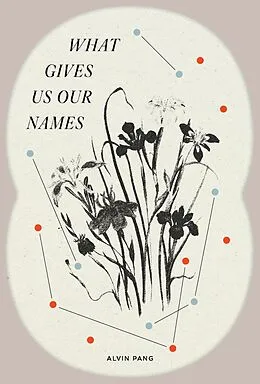 E-Book (epub) What Gives Us Our Names von Alvin Pang