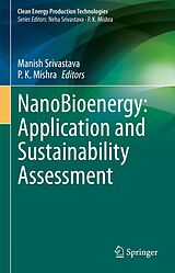 eBook (pdf) NanoBioenergy: Application and Sustainability Assessment de 