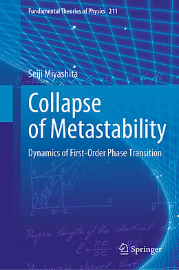 Livre Relié Collapse of Metastability de Seiji Miyashita