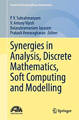 E-Book (pdf) Synergies in Analysis, Discrete Mathematics, Soft Computing and Modelling von 