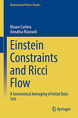 eBook (pdf) Einstein Constraints and Ricci Flow de Mauro Carfora, Annalisa Marzuoli