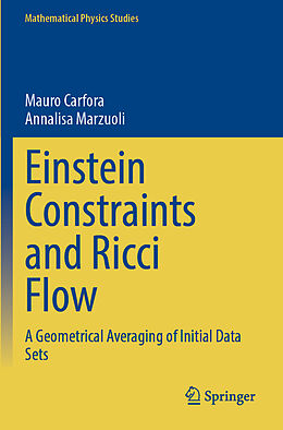 Couverture cartonnée Einstein Constraints and Ricci Flow de Annalisa Marzuoli, Mauro Carfora