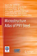 E-Book (pdf) Microstructure Atlas of P91 Steel von Rajat K. Roy, Amit Chhabra, Swaminathan Jaganathan