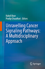 E-Book (pdf) Unravelling Cancer Signaling Pathways: A Multidisciplinary Approach von 