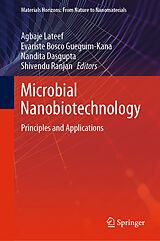 eBook (pdf) Microbial Nanobiotechnology de 