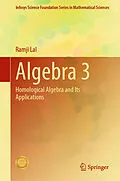 E-Book (pdf) Algebra 3 von Ramji Lal