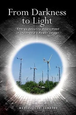 PDF From Darkness to Light von Maxensius Tri Sambodo