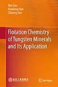 E-Book (pdf) Flotation Chemistry of Tungsten Minerals and Its Application von Wei Sun, Haisheng Han, Zhiyong Gao