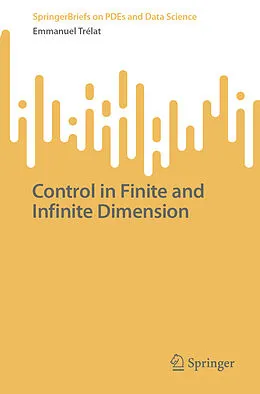 E-Book (pdf) Control in Finite and Infinite Dimension von Emmanuel Trélat
