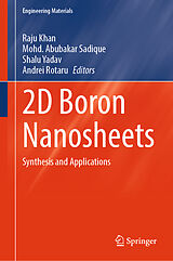 eBook (pdf) 2D Boron Nanosheets de 