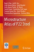 E-Book (pdf) Microstructure Atlas of P22 Steel von Rajat K. Roy, Amit Chhabra, Swaminathan Jaganathan