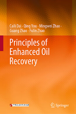 Livre Relié Principles of Enhanced Oil Recovery de Caili Dai, Qing You, Fulin Zhao