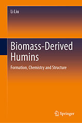 eBook (pdf) Biomass-Derived Humins de Li Liu