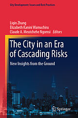 eBook (pdf) The City in an Era of Cascading Risks de 