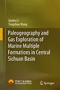 E-Book (pdf) Paleogeography and Gas Exploration of Marine Multiple Formations in Central Sichuan Basin von Qiufen Li, Tongshan Wang