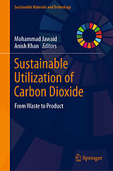 eBook (pdf) Sustainable Utilization of Carbon Dioxide de 