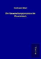 Kartonierter Einband Die Umwandlungsprozesse im Mineralreich von Ferdinand Zirkel