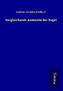 Fester Einband Vergleichende Anatomie der Engel von Gustav Theodor Fechner