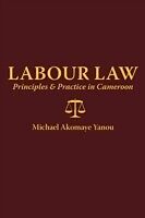 eBook (pdf) Labour Law de Michael A Yanou